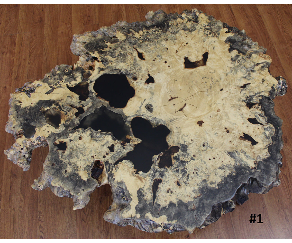 Buckeye Burl Coffee Table